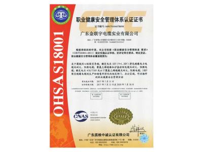 職業(yè)健康安全管理體系認(rèn)證書(shū)